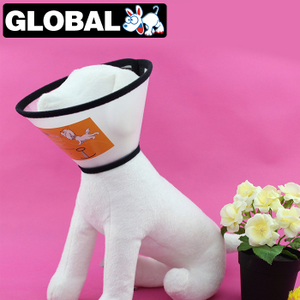 佺球寵物用品專營店 寵物生活服務領導者，僅此一天大放送！