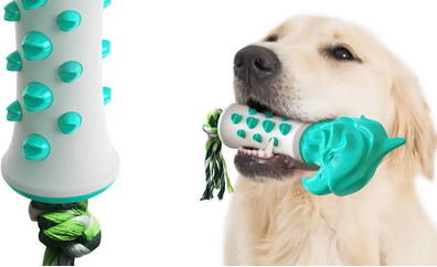 楚克奇寵物用品 多元產品線，滿足寵物全方位需求