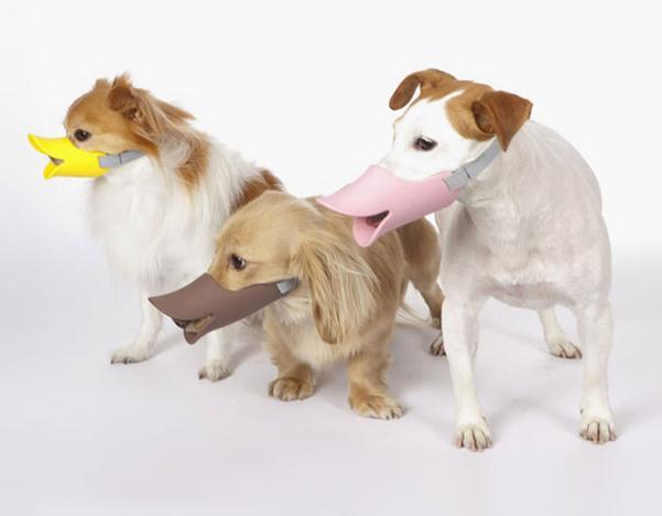 別只知道貓窩狗繩，這些腦洞大開的寵物用品才叫絕！