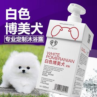 寵物清潔全攻略 從除臭消毒到芬芳留香，打造清新愛寵空間