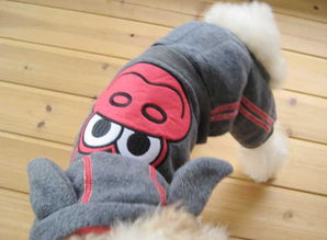 美琪妃寵Feipet 日單寵物服裝批發(fā)與寵物用品一站式指南