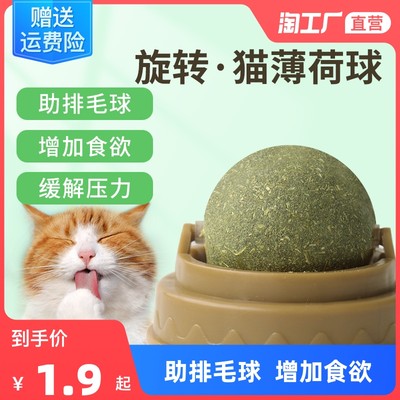 萌寵經(jīng)濟(jì)崛起 網(wǎng)購寵物用品成消費新趨勢